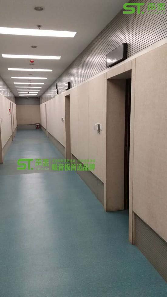 山东东营市某执法机关室内吸音声学装修