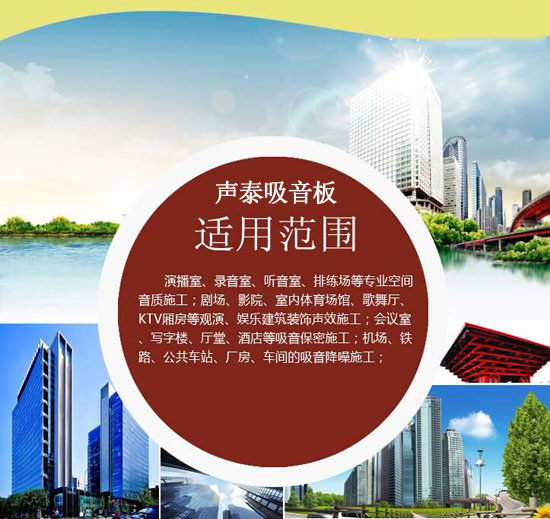 湖南郴州第二中学体育馆孔木吸音板案例项目