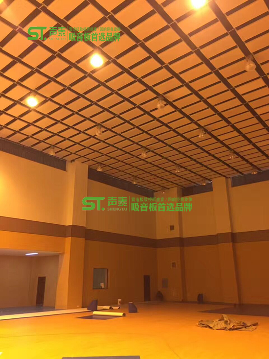青少年文化宫悬挂空间吸声体
