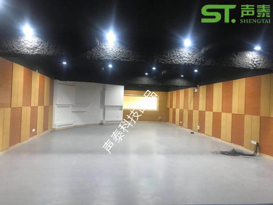 广州家庭影院声学工程案例